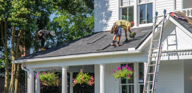 Best Roof Gutter Cleaning  in Munford, TN